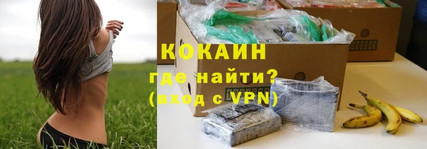 прущий лед Алзамай