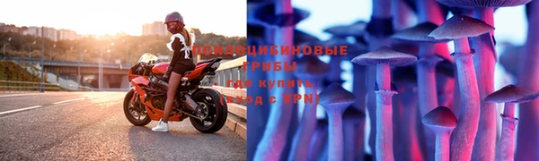 меф Осташков