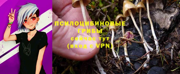 стафф Алексин