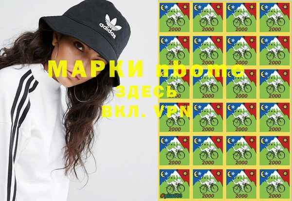 стафф Алексин
