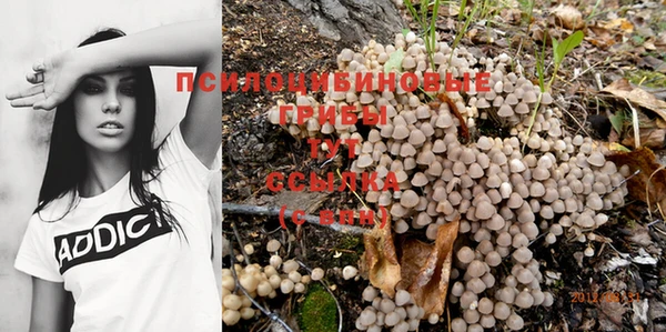 прущий лед Алзамай