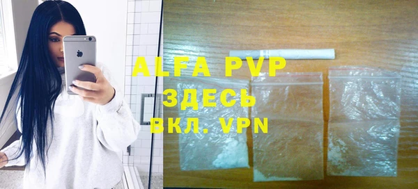 стафф Алексин
