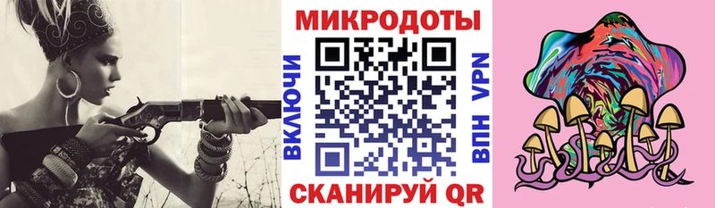 где купить   Ейск  Псилоцибиновые грибы Psilocybe 